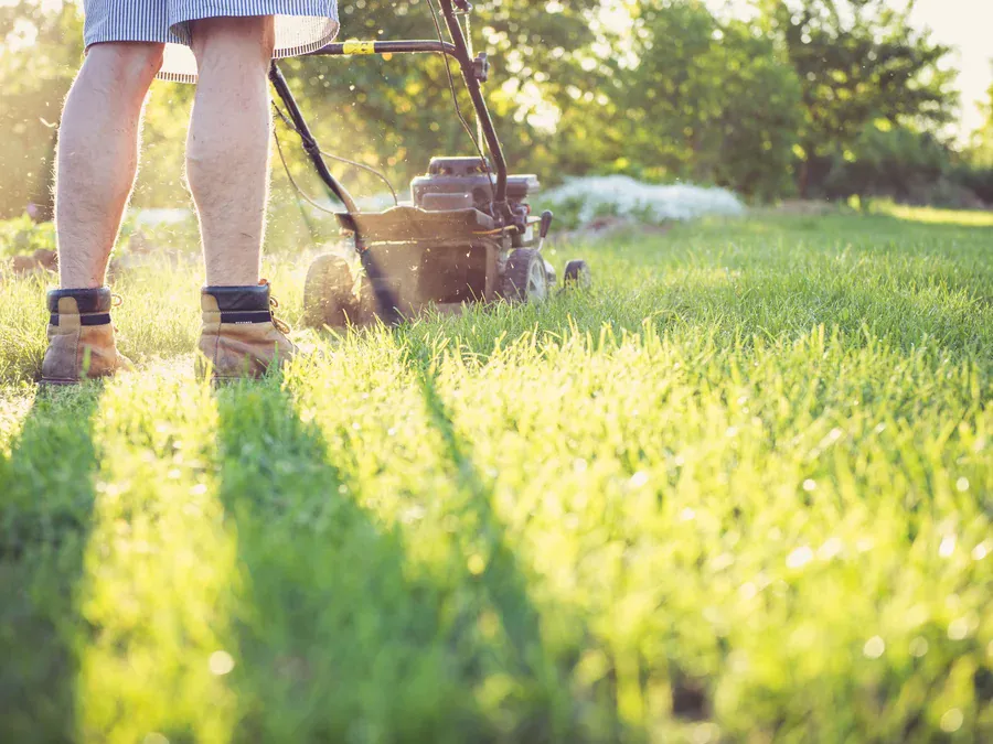 Lawn Mowing