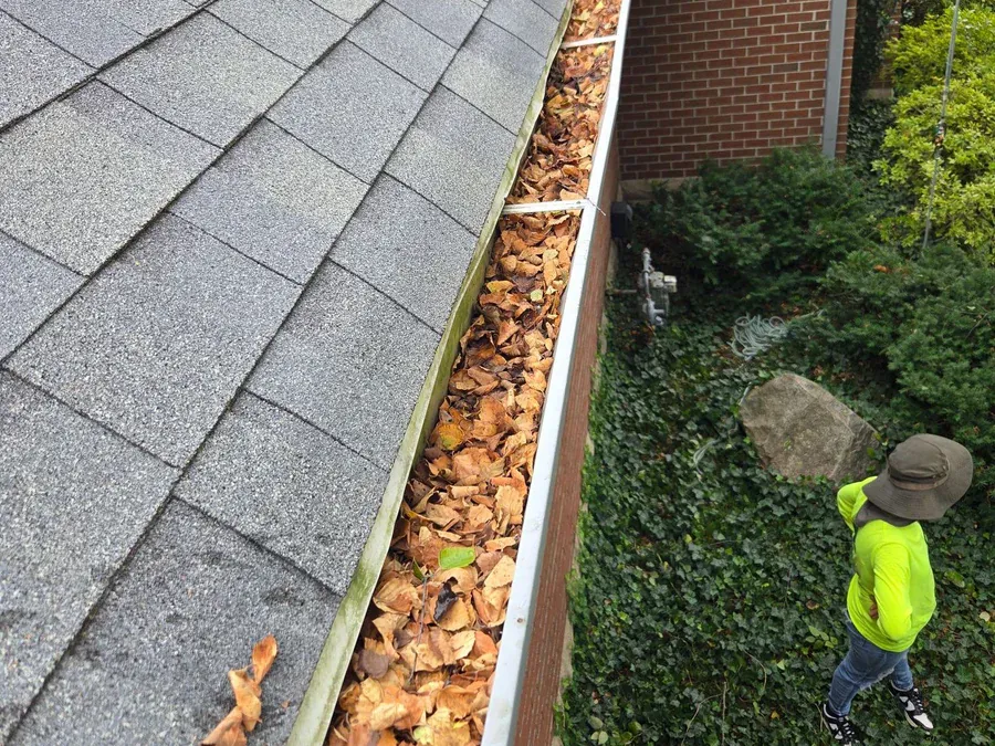 Leaf Cleanup