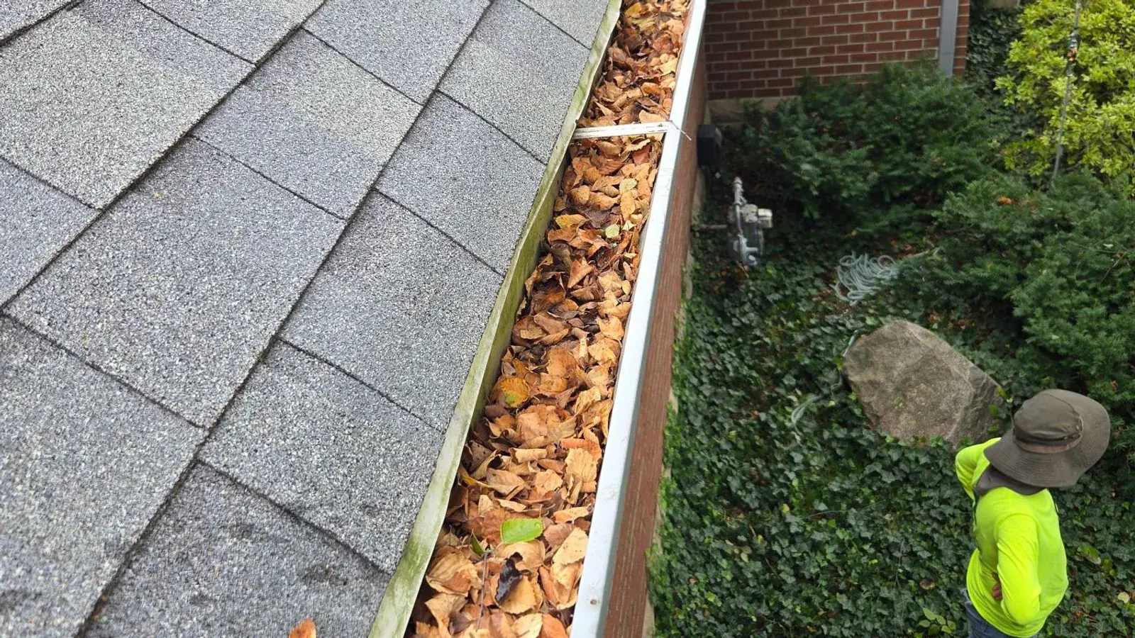 Leaf Cleanup