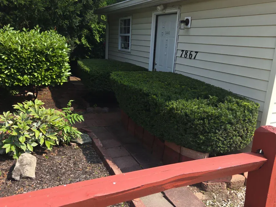 Mulch Installation