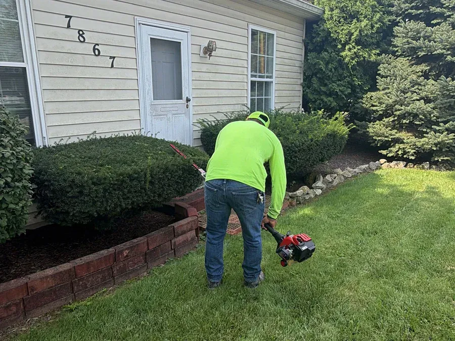 Shrub Trimming
