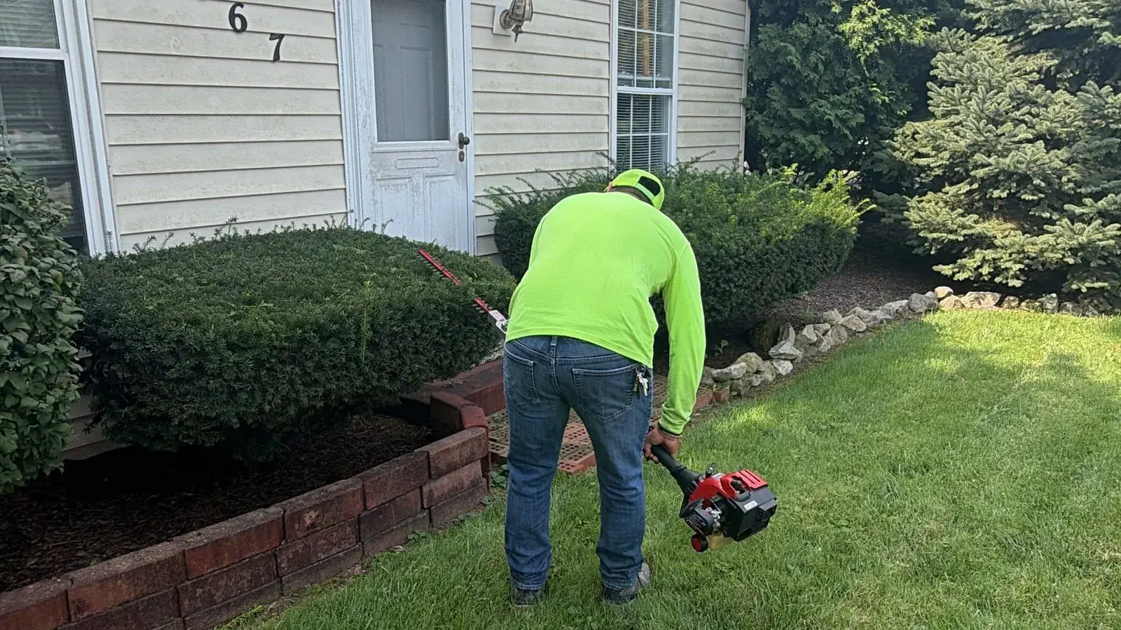 Shrub Trimming