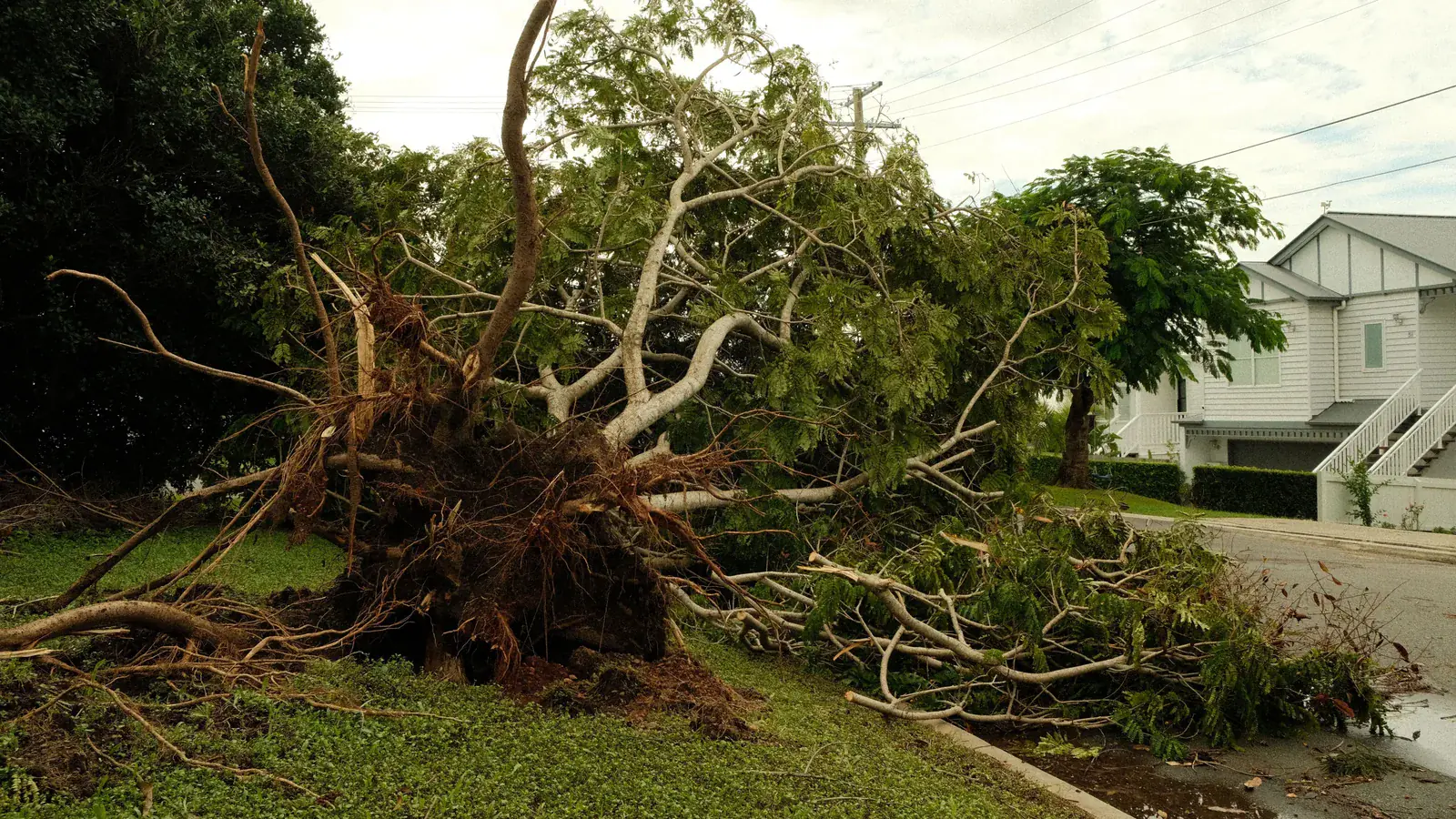 Storm Cleanup