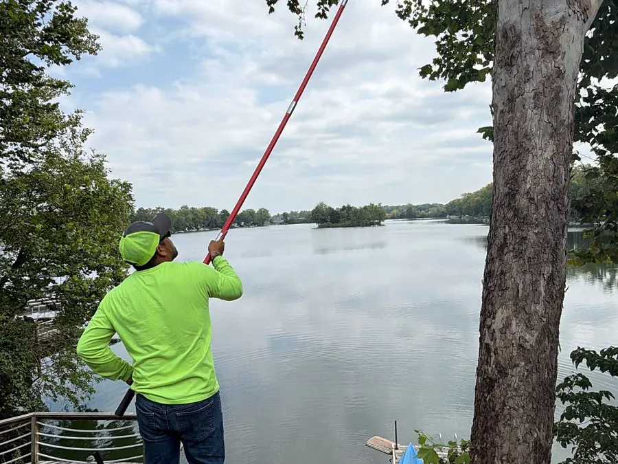 Tree Pruning