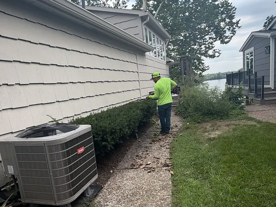 Yard Cleanup