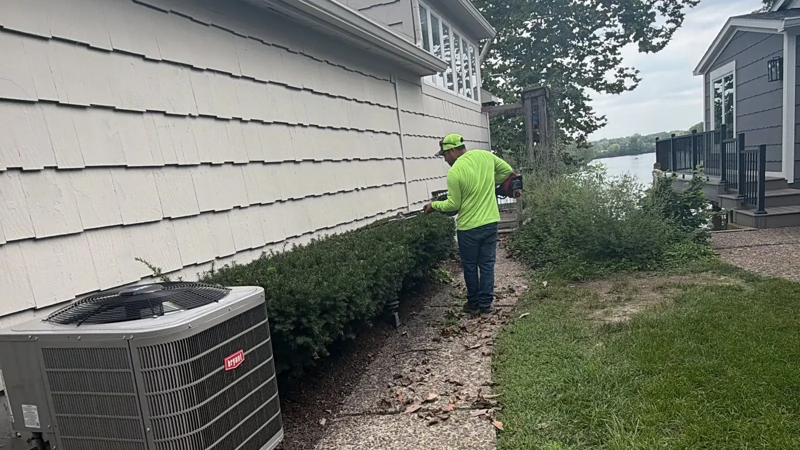 Yard Cleanup
